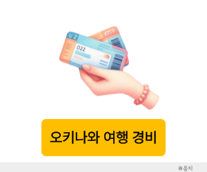 오키나와 여행 경비