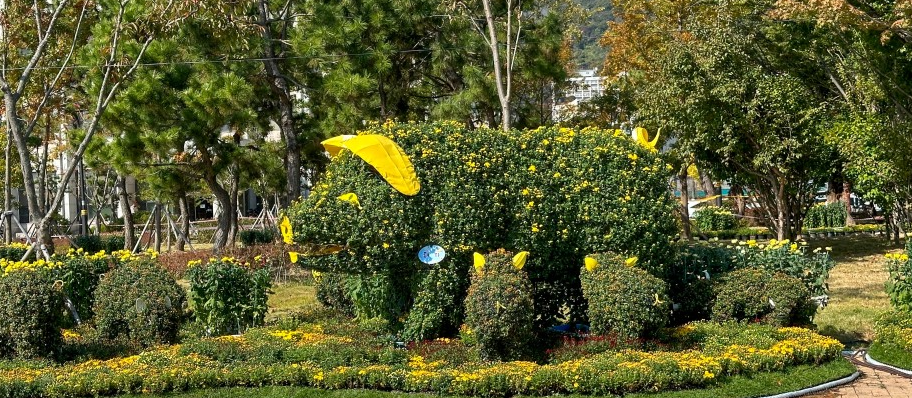 마산국화축제