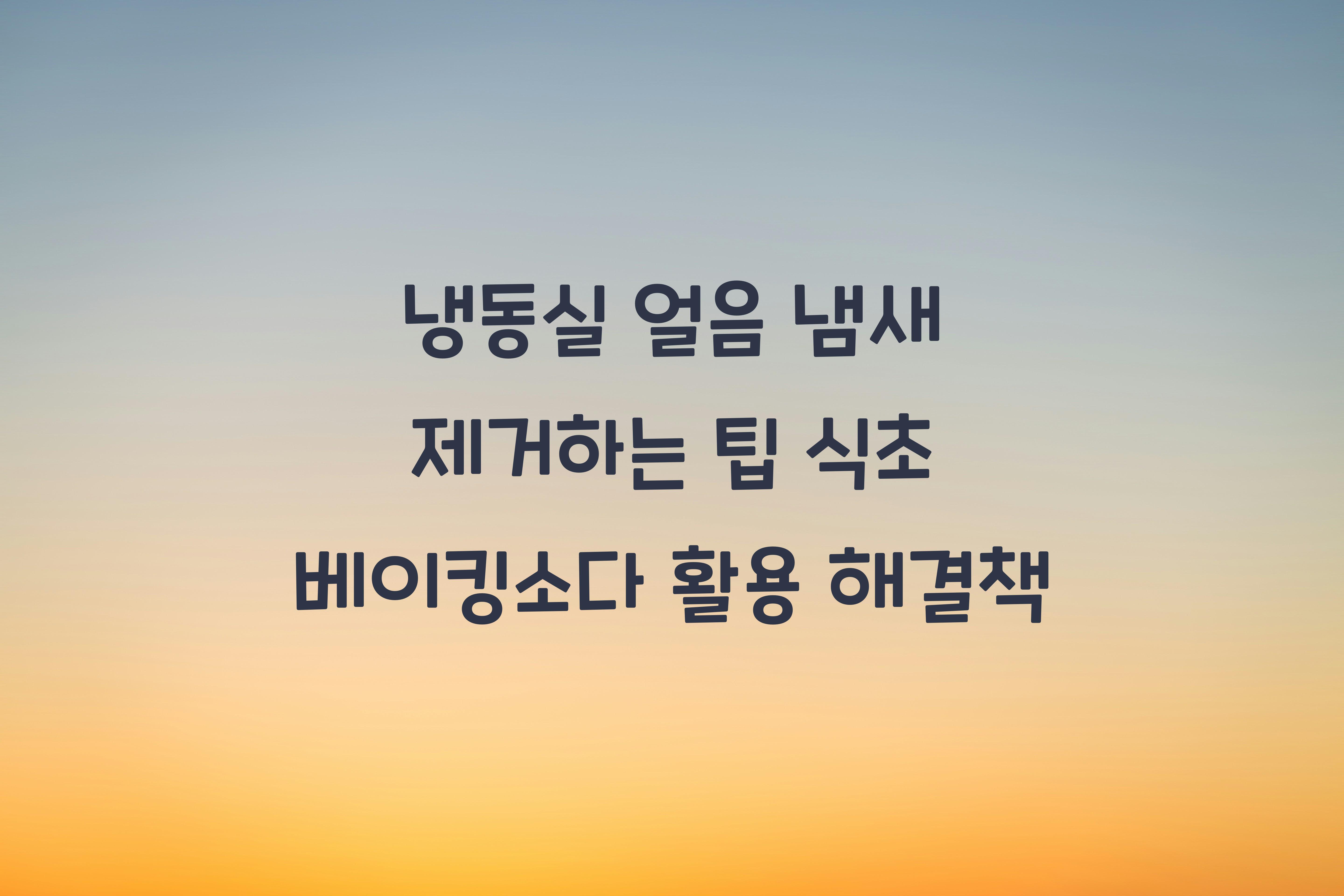 냉동실 얼음 냄새 제거하는 팁