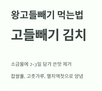 왕고들빼기 먹는법 : 고들빼기 김치