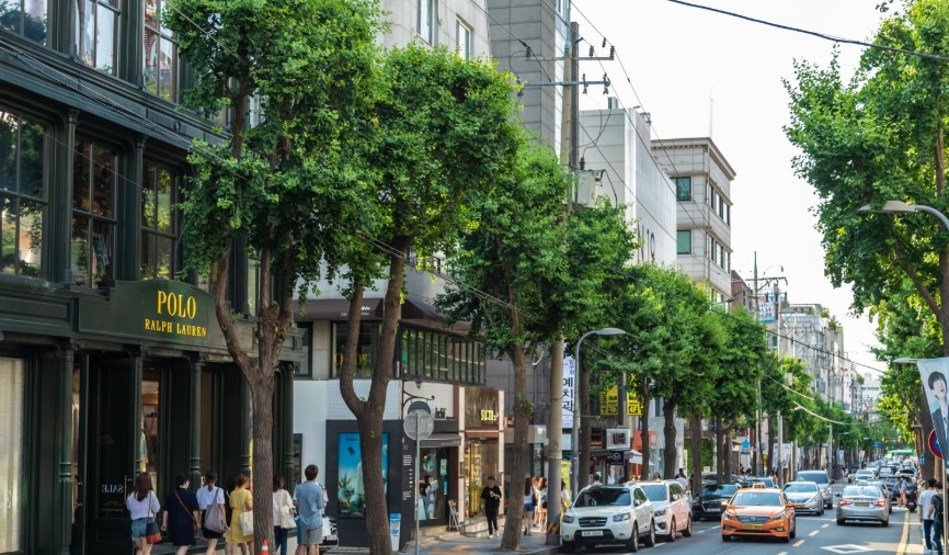 신사동 가로수길의 한가로운 낮 풍경