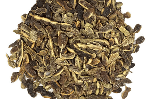 회화나무열매효능2