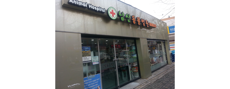 서울 용산구 동물병원