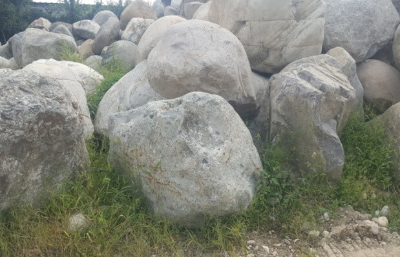 자연조경석사진
