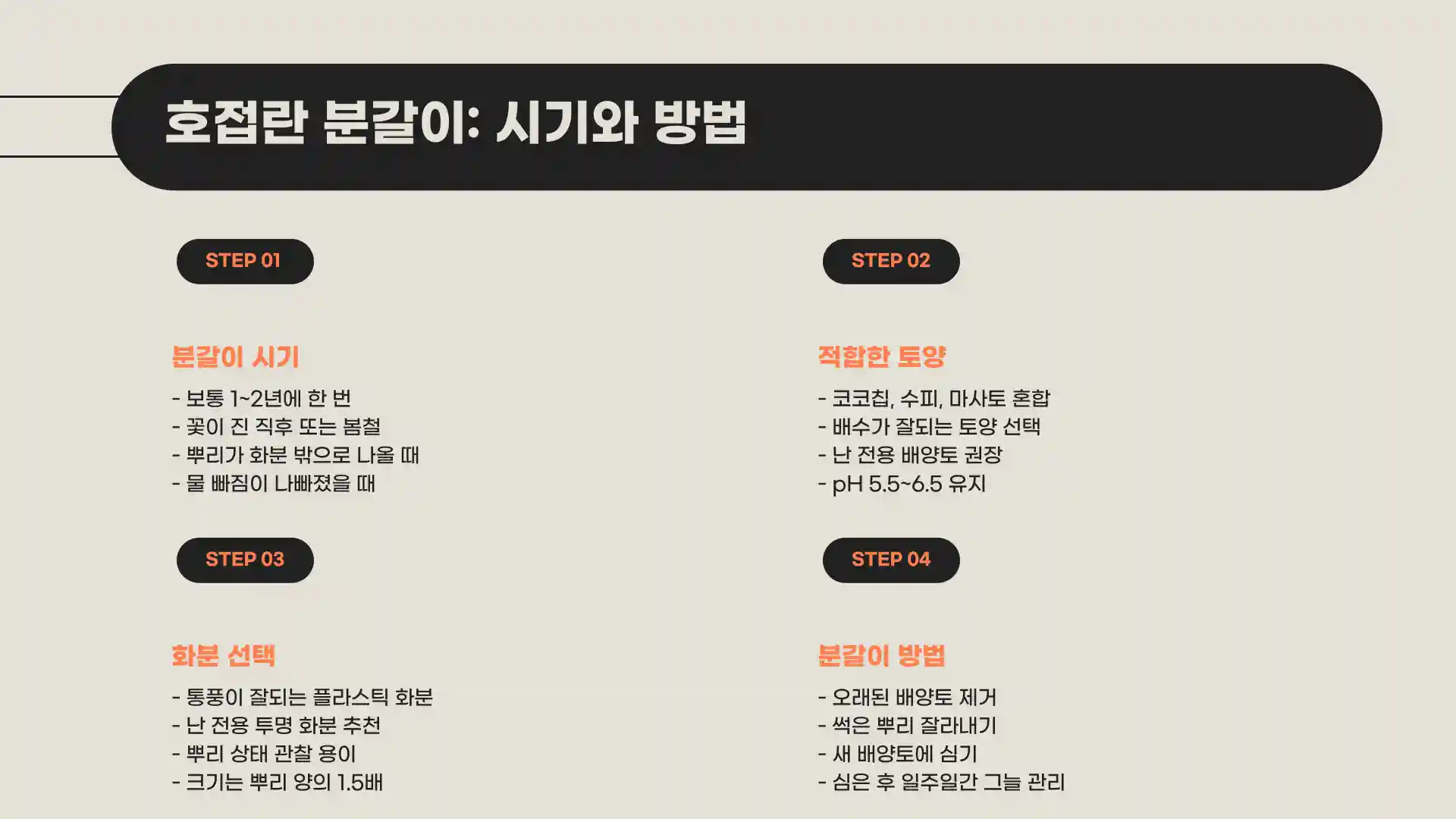 호접란 키우는 법 물주는 방법