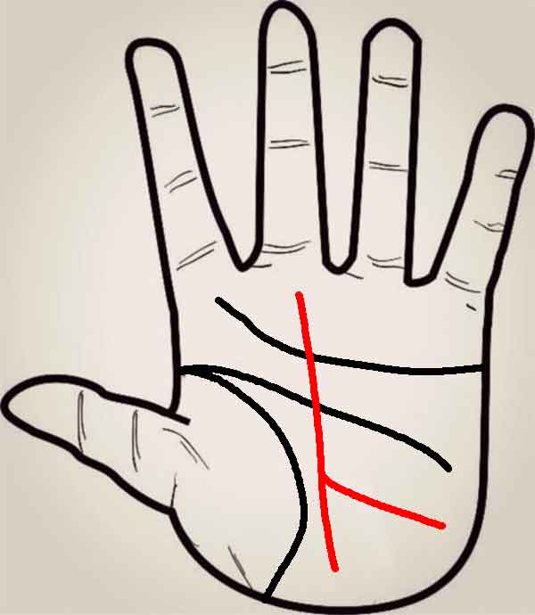 운명선 - 후원자 혜택형