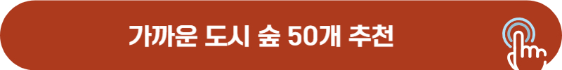 가을 단풍 나들이 도시 숲 추천