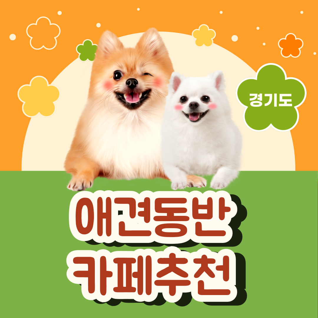 애견동반 카페추천 50곳