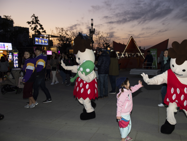 한강 달빛 야시장