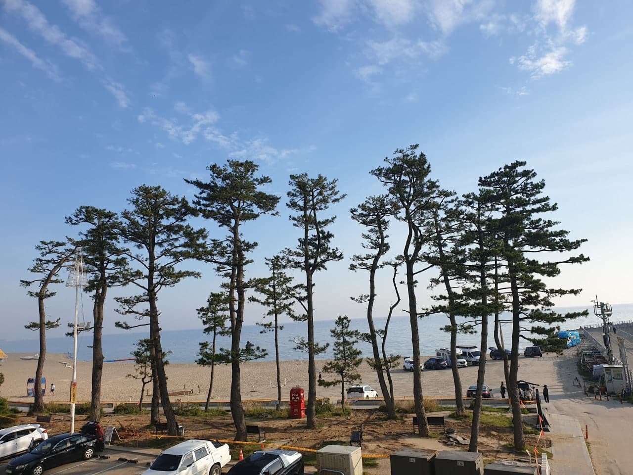 강릉 안목항