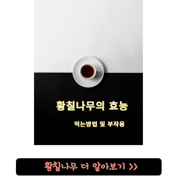 황칠나무-더-알아보기