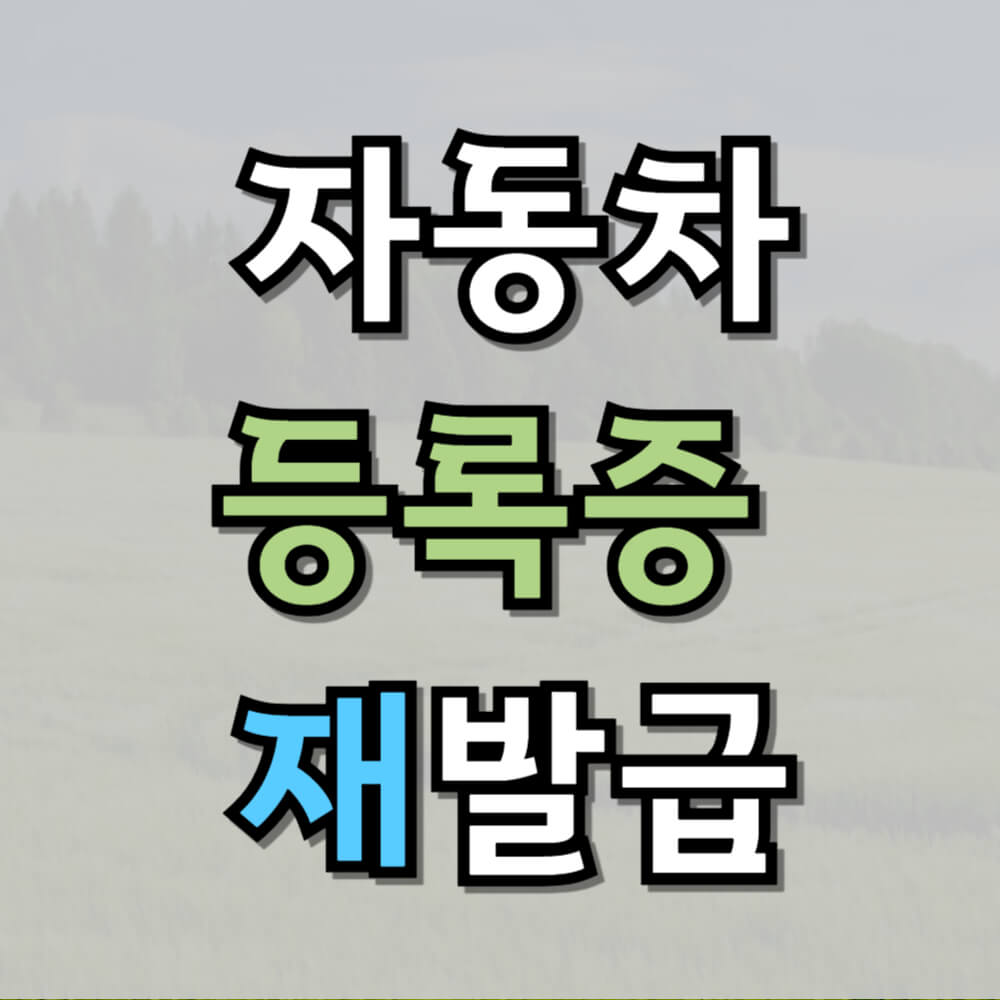 자동차등록증 재발급