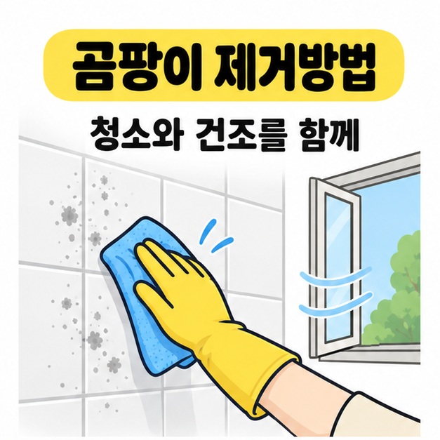 곰팡이 제거방법과 청소와 건조를 함께 문구 아래 장갑 낀 손으로 타일을 닦는 모습과 열린 창문 그림