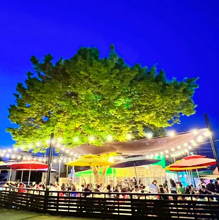 식객 허영만 백반기행 172회 박기웅 편 전복 등갈비 삼겹살 오리 바베큐 BBQ 강변 미사리 하남 스타필드 맛집 소개