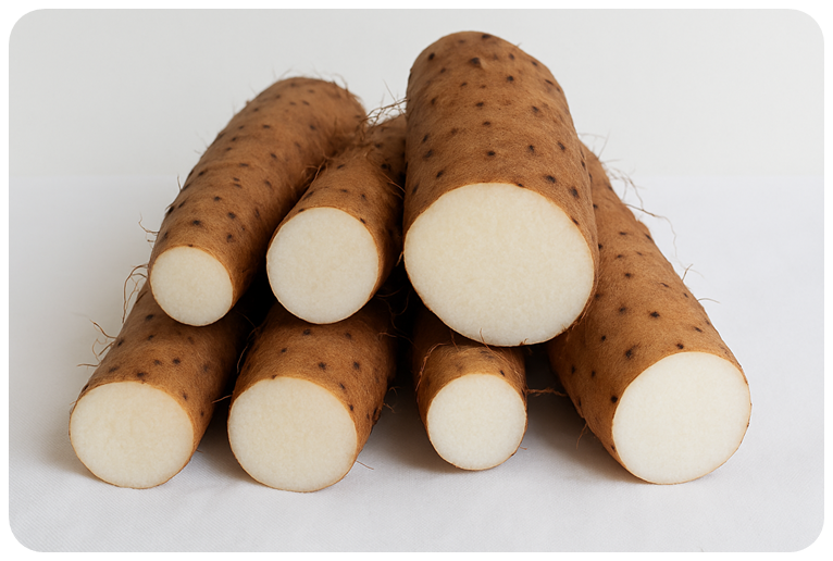 마의 주요 영양 성분, 면역력 강화 효능