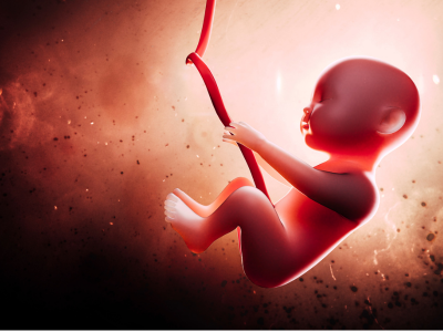 2025 새마을금고 아기뱀 적금 이자 계산 특판 적금 총정리