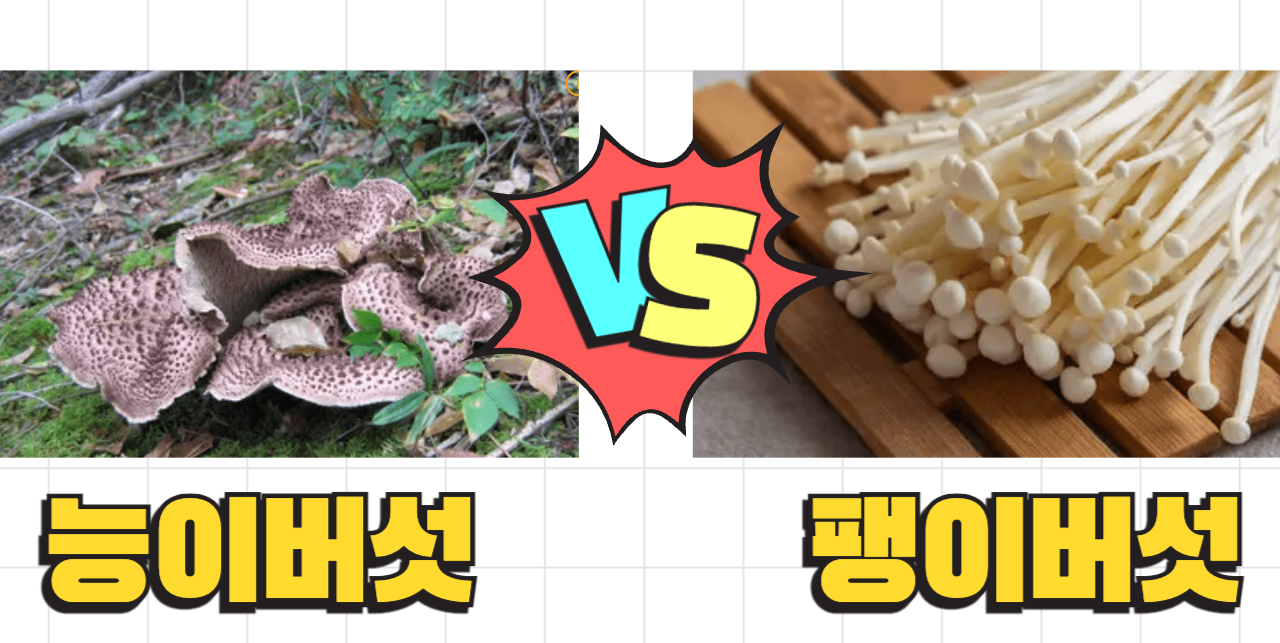 능이버섯 VS 팽이버섯