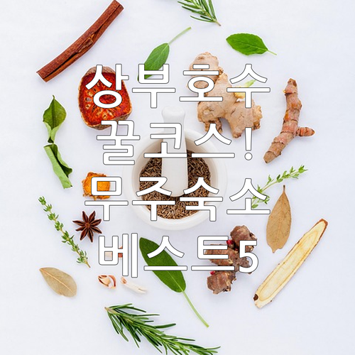 플리트비체 상부호수 걷기 편한 코스 ..