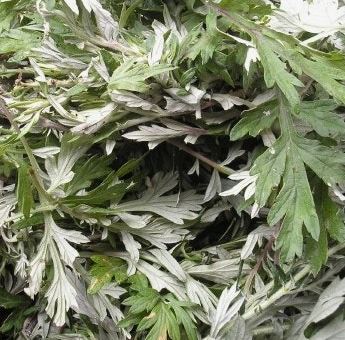 쑥 효능 부작용 칼로리 요리