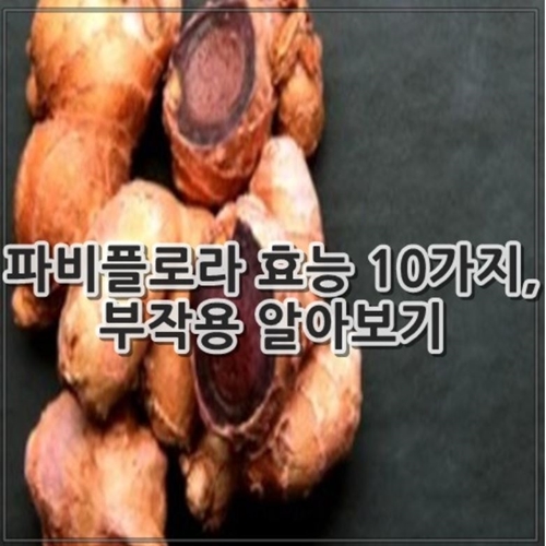 파비플로라 효능 10가지, 부작용 알아보기