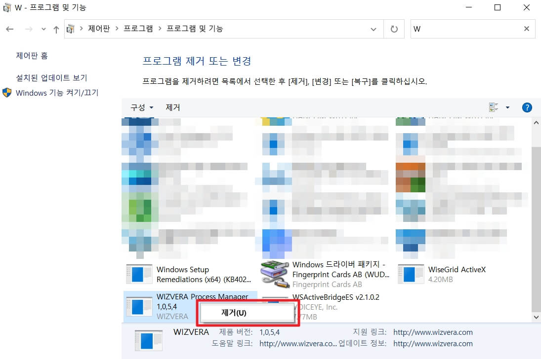 wizvera process manager