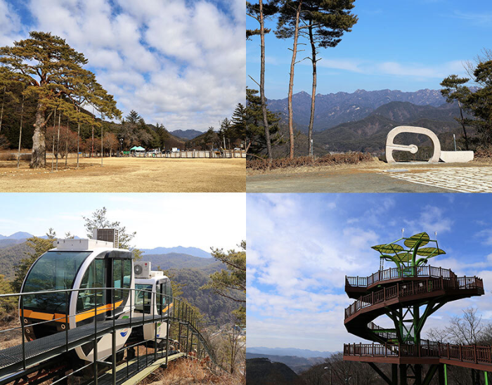 당진영덕고속도로 속리산 IC에서 국도 25호선을 타고 장재삼거리에서 우회전하면 열두 굽이 말티재가 나온다.