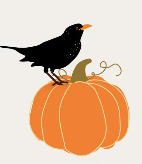 할로윈 코스튬 추천 축제 추천 에버랜드 호러메이즈