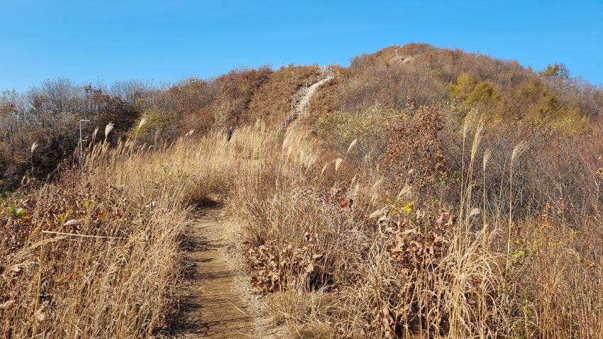 억새가 소담하게 핀 능선길, 푸른 하늘,
