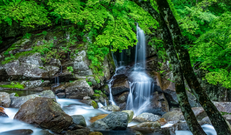 지리산 등산코스