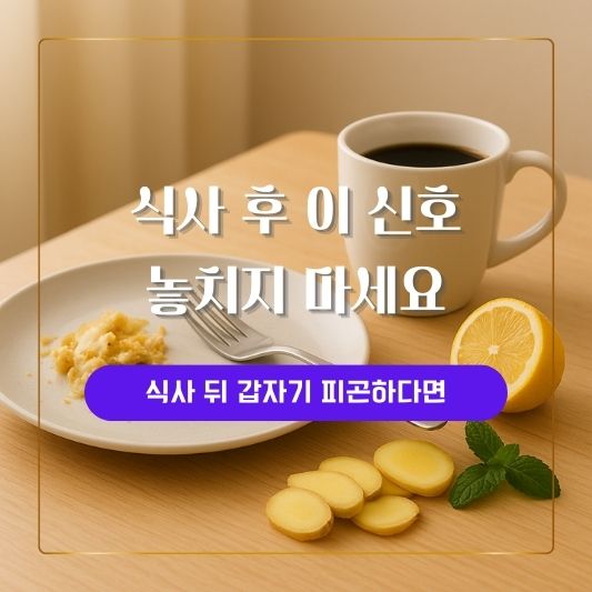 과식 후 몸의 신호와 회복 루틴