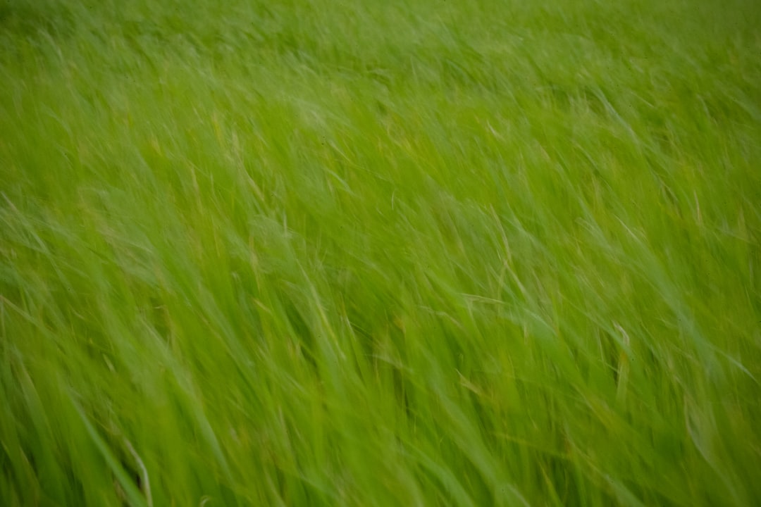 Air.