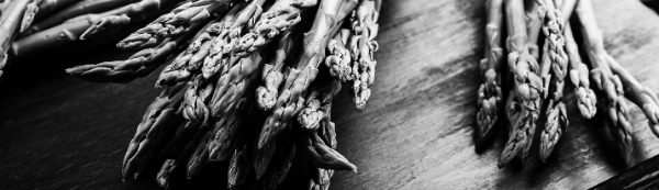 촉성재배 (온실 재배), 억제재배