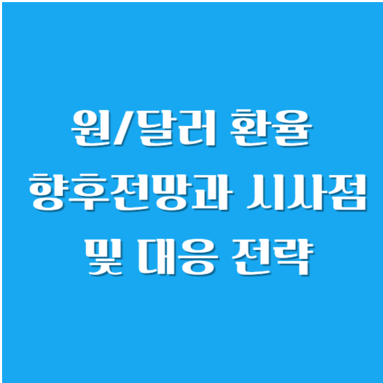 원/달러 환율 향후 전망과 시사점 및 대응 전략