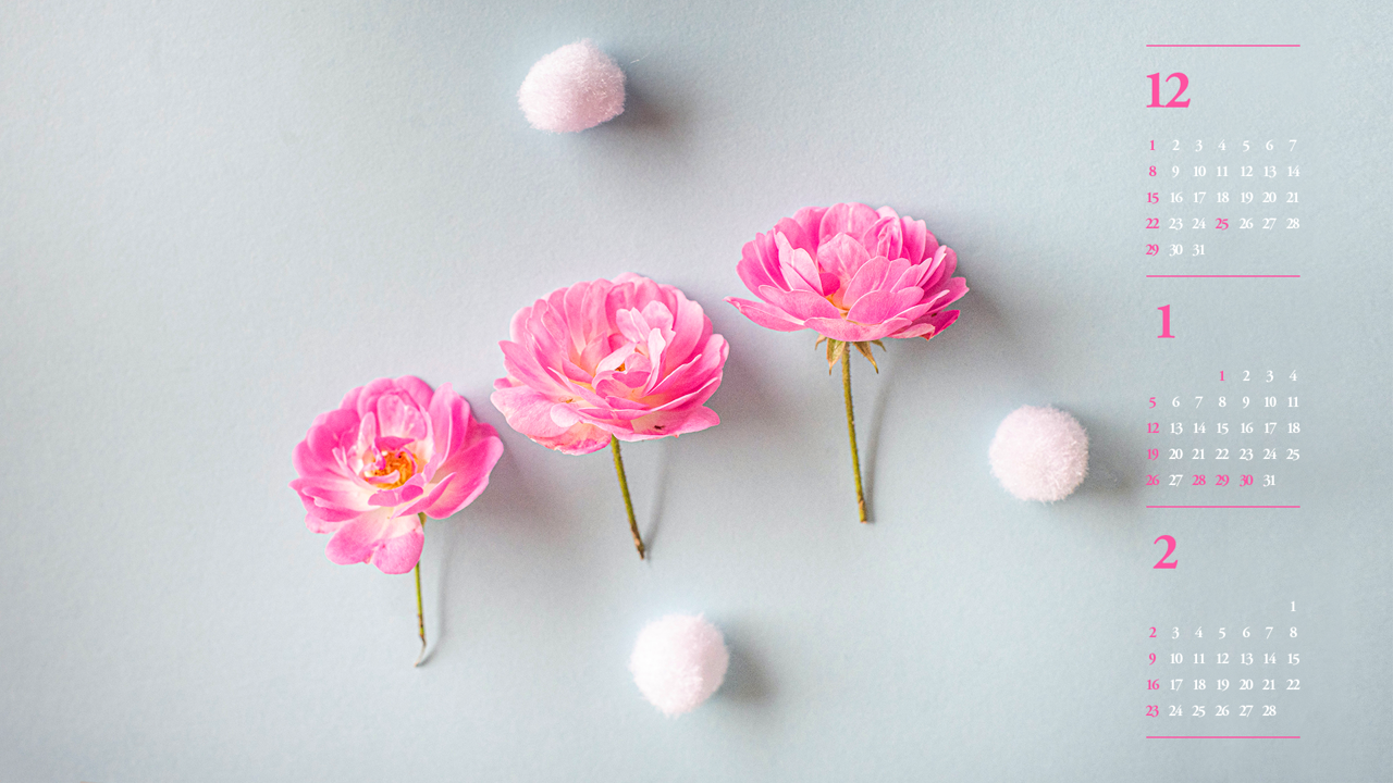 08 모란꽃 세송이 B - 2025년1월 노트북배경화면