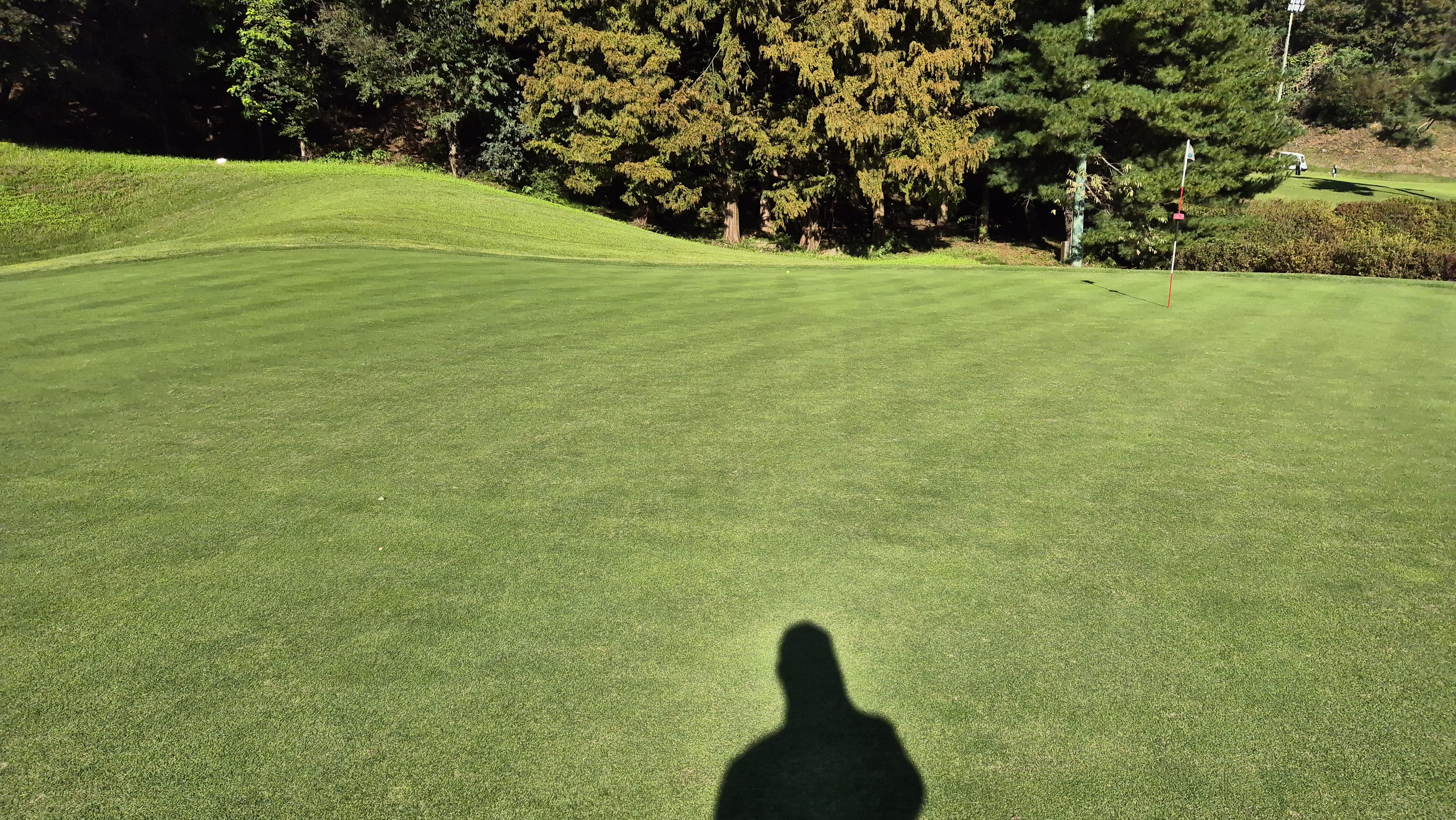 떼제베cc 동-북 코스 그린 빠르기 및 난이도