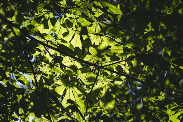 마음치유 사진7