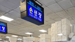 손선장