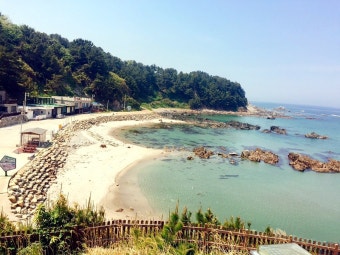 ์ธ์ง ํํฌ ํด๋ณ