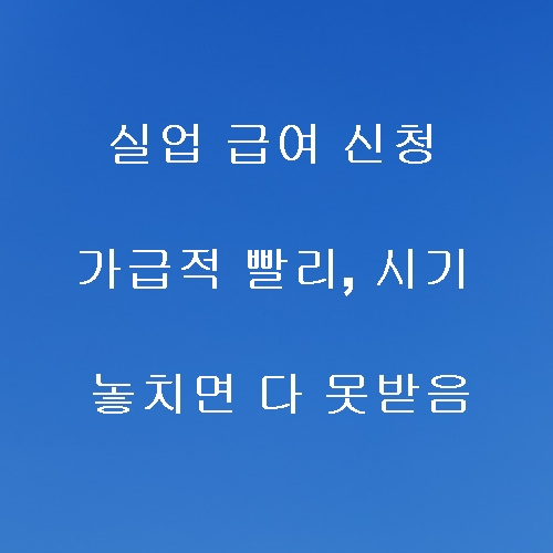 실업급여신청