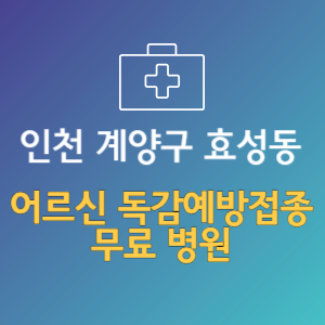 인천 계양구 효성동 노인 독감예방접종 무료 병원 (인플루엔자 무료 접종 대상 날짜)