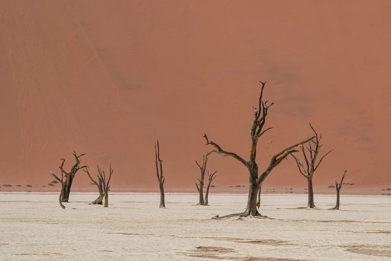 폭염시-근로자-휴식-의무화-산업안전보건기준-규칙-고용노동부-무더위-폭염-온열질환