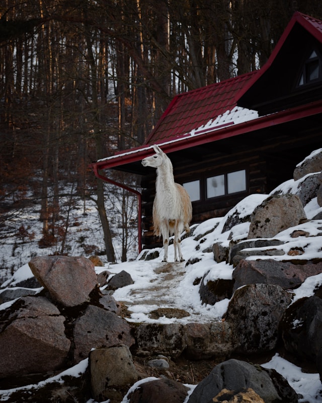 이천 테르메덴 풀파티와 카라반 예약 완벽 가이드