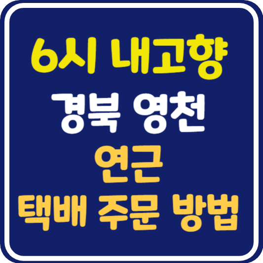 6시 내고향 영천 연근 택배 주문 방법