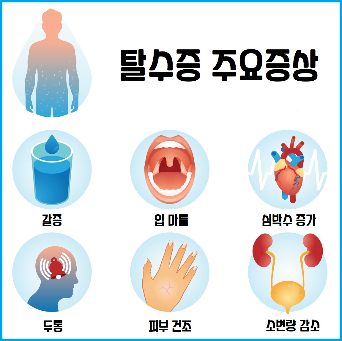 탈수증 주요증상