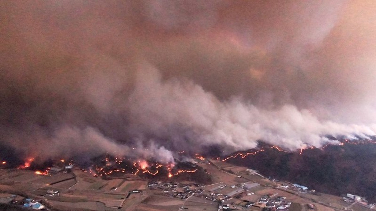 산림과 임야를 넘어 민가까지 덮친 대형 산불