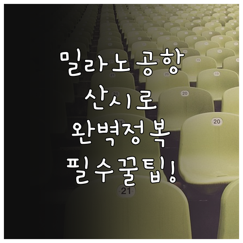 밀라노 공항에서 산 시로 경기장 가는..