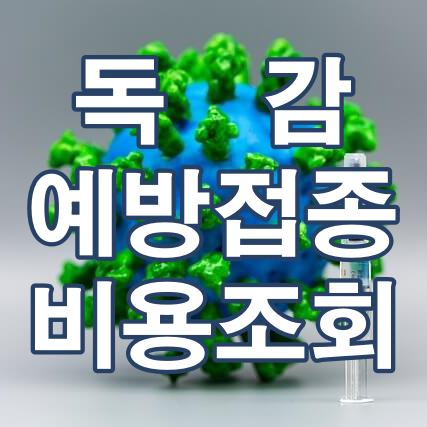 독감예방접종 썸네일
