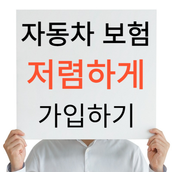 자동차 보험 비교