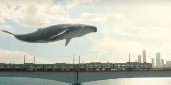 이상한 변호사 우영우 고래