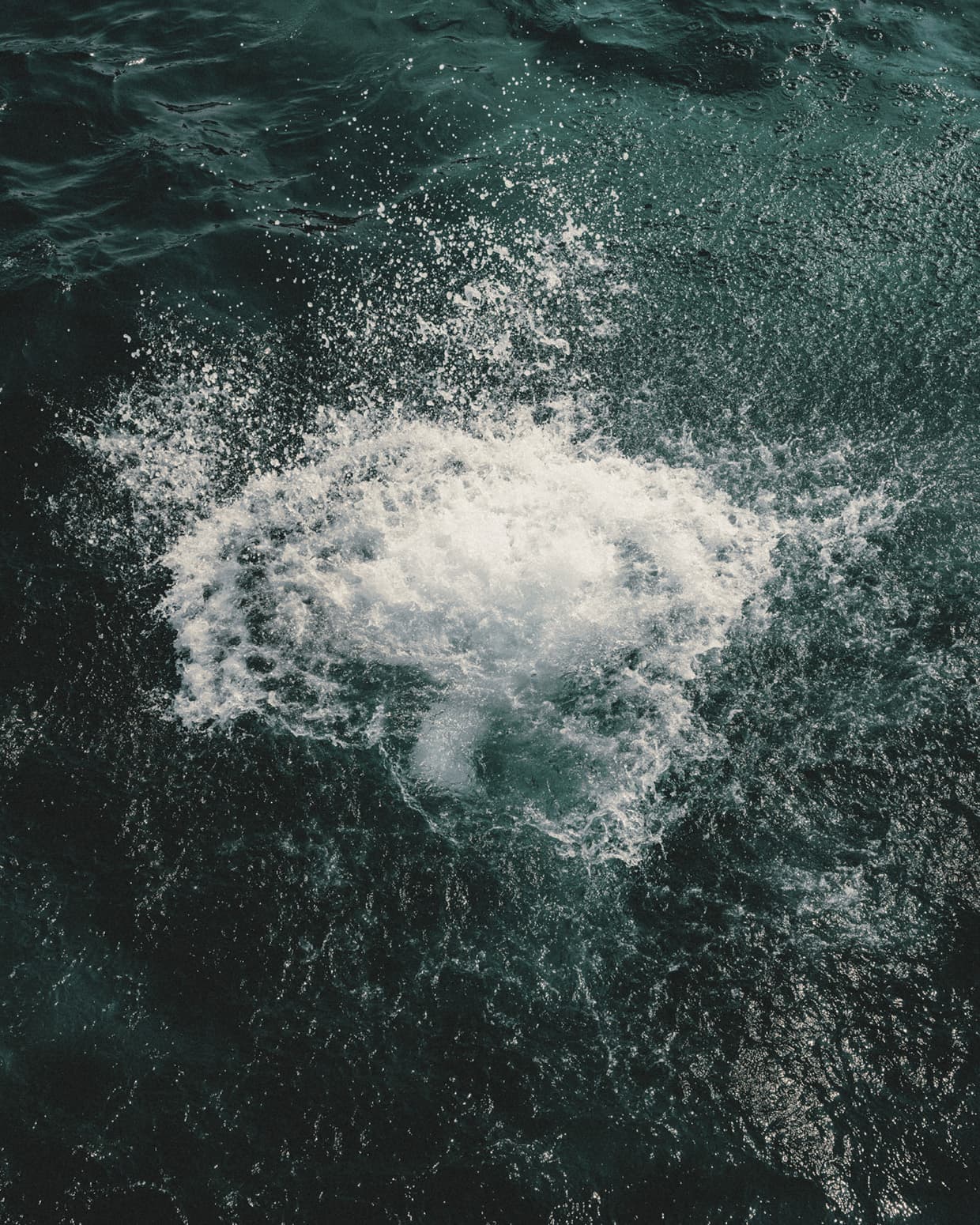 요시고(YOSIGO), landscape